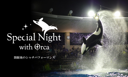 『Special Night with Orca』開催01